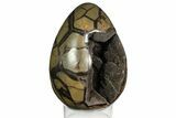 Septarian Dragon Egg Geode - Black Crystals #158336-1
